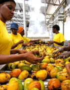 Copyright: Meena Bhandari 2011