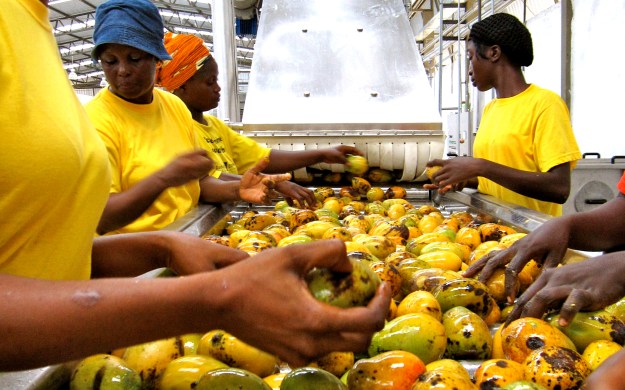 Copyright: Meena Bhandari 2011