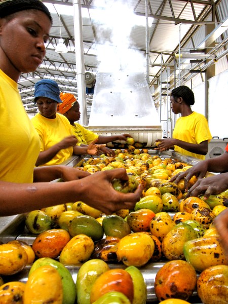 Copyright: Meena Bhandari 2011